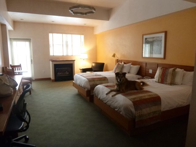 A room with room to move. And a fireplace.