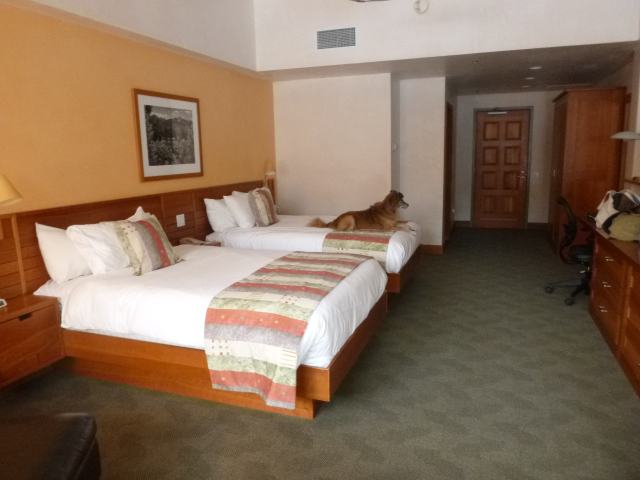 More room than we'd had in weeks.