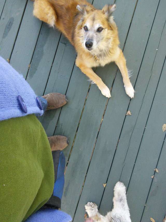 There's Pepper's foot, the two are pretty far apart and I am quite close to both of them.