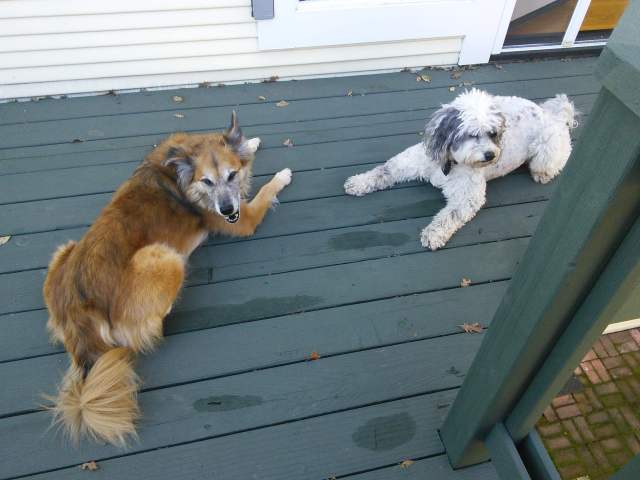 Could they do a better job of not looking at each other? I think not.