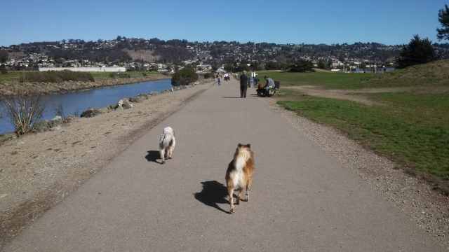 And started to cruise through the park as a happy little family.