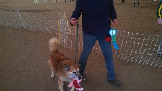 He carried it around until we went to the car.