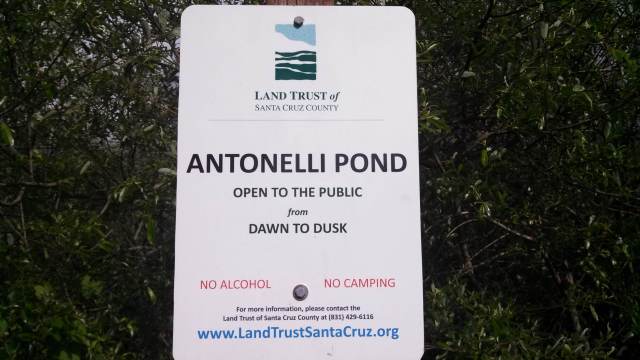 Antonelli pond sign