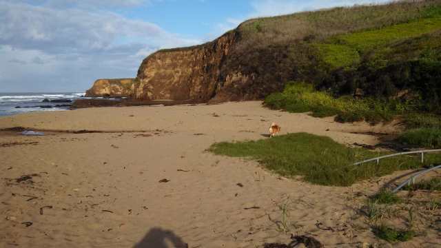 for some runnin' and sniffin'.