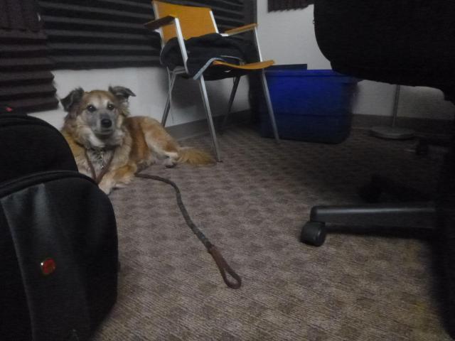 Chico and I tagged along.