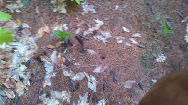 No, really, just left of center,