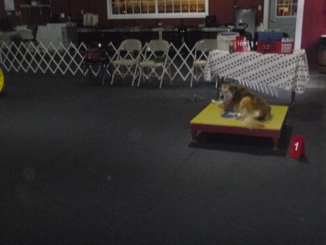 The table was waaay over in one corner of the ring.