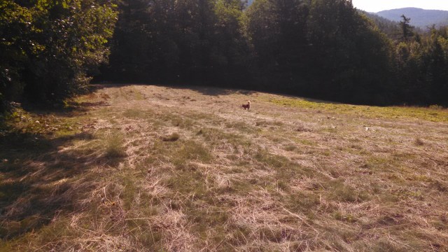 IMG_20140811_093218_179 (1)