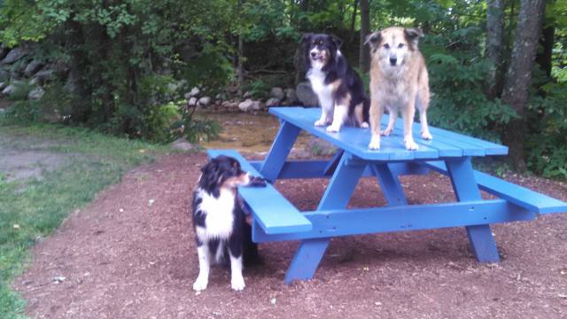 And here we've almost got it, then Simon hears something.