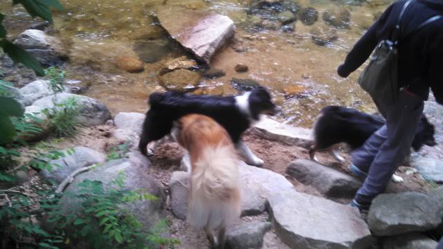 IMG_20140822_133137_934