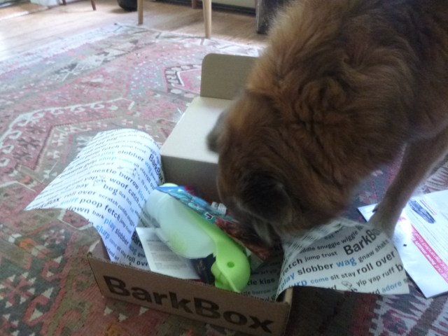 "Hey, what's in there?"