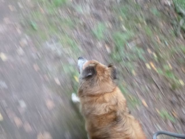 So he trotted right along.