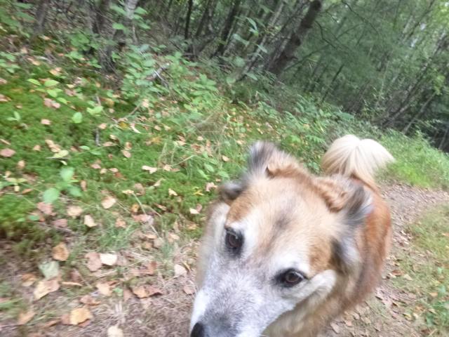 Not thrilled to have me in his path taking a picture.