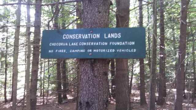 IMG_20140909_133812_116