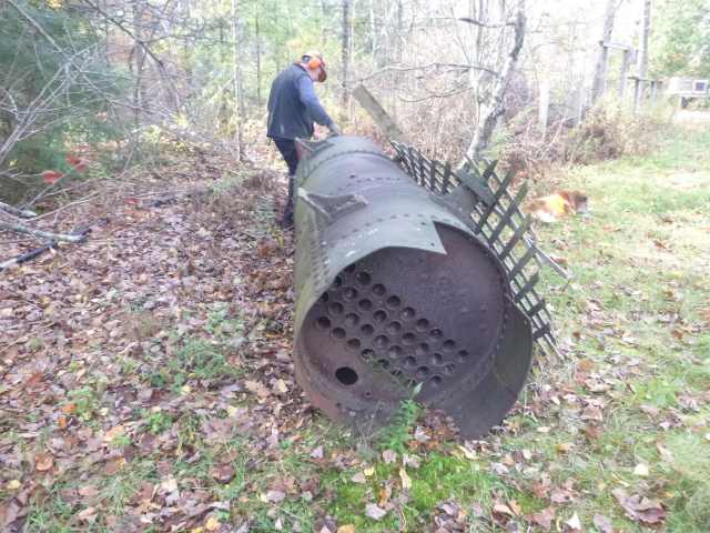 Chico is chewing an apple that he slithered into the underbrush for.