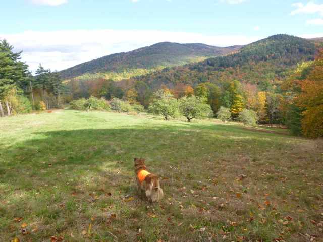 That's Mount Whittier if I know my neighborhood - which is not assured.