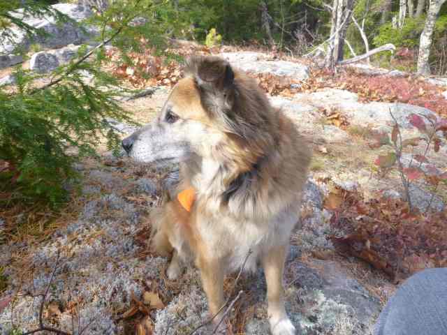 but he can do a convincing imitation of someone enjoying a view.