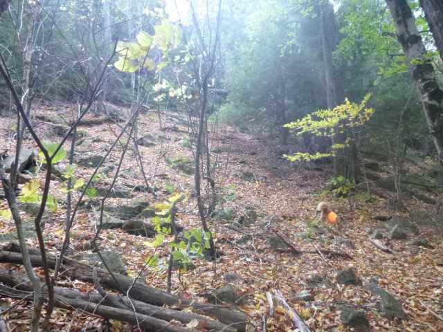 "Oh good," I thought to myself, "I'm almost there. That wasn't so bad, wonder why I never came this far before?"