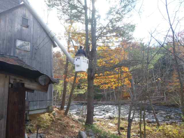 And you can also see what happens when low bushes are 