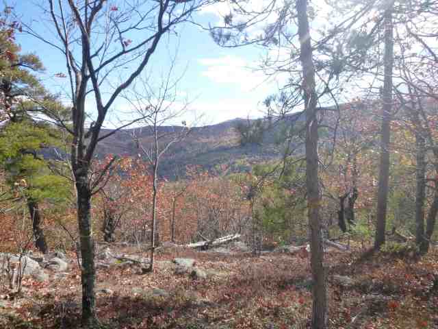 It's not a wide open summit, but there's a view.