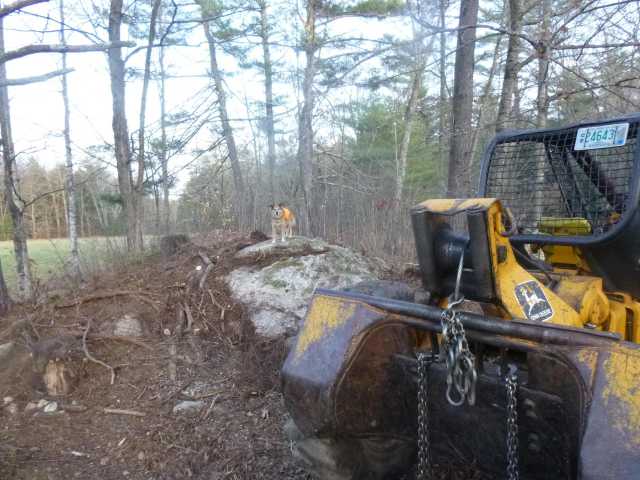 A skidder. An amazingly articulated vehicle that can go over almost anything.