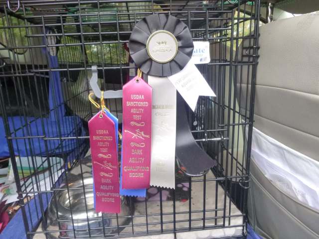 Who is it that assigns value to these strips of acetate? I sure did this weekend.