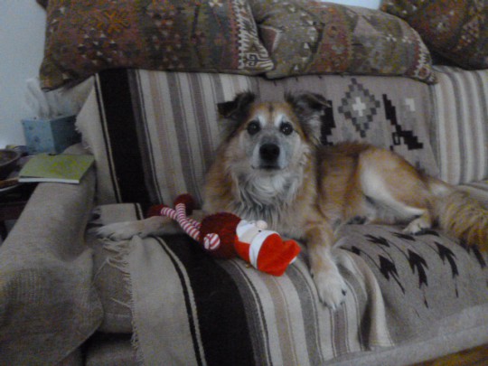 Just the right mix of textures for my boy.