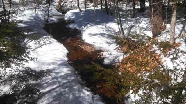 IMG_20150322_131521_820