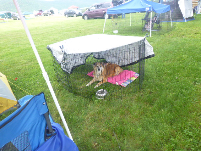 Chillin' between runs.