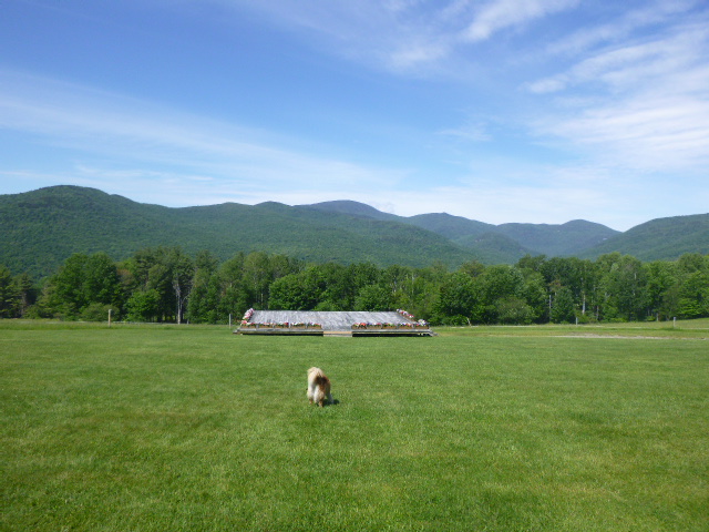 The stage where the Trapp Family Singers perform.