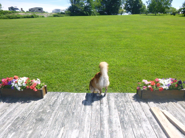 So that's where Chico was, and I was too tired to fight it.