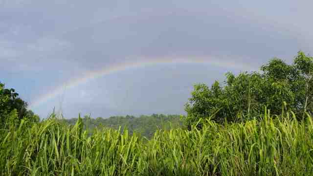 We saw a lot of them mostly I just said "Ooohhhh," but this one I captured.