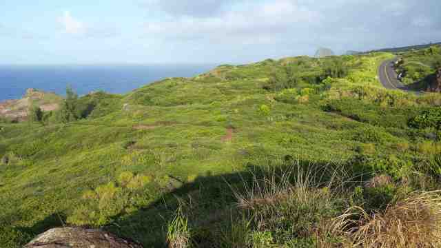 and here looking east from the same spot.