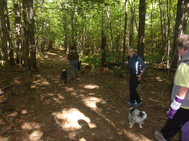 That's baby Breeze in the front, the smallest of the other dogs.