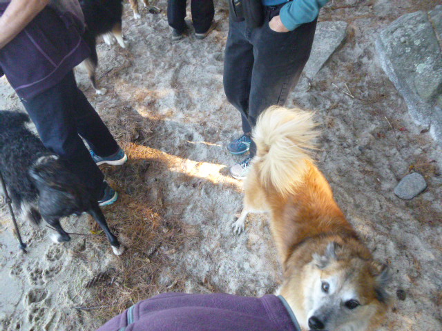 When we were moving it was easier. At rest stops he was into checking in with me.