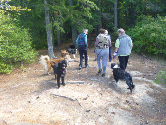 No, I was not holding the puppy at this moment, but Chico was no closer to me when I had her. Unlike young Tate who was jumping and nipping to get to her while puppy was in Tate's mom's arms.