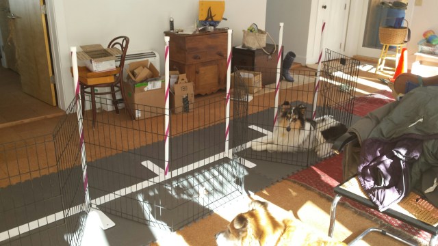 20160122_125722.jpg image