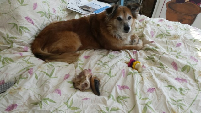 20160125_101924.jpg image