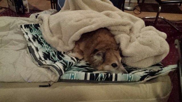 20160325_192203.jpg image